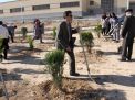 گزارش تصویری مراسم روز درخت کاری و تقدیر از نیروهای باغبانی دانشگاه